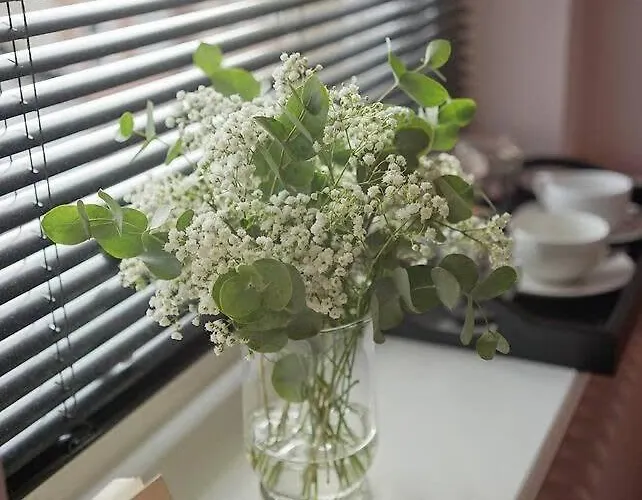 The Alma Taverns Boutique - 4 - Hopewell * Бристоль